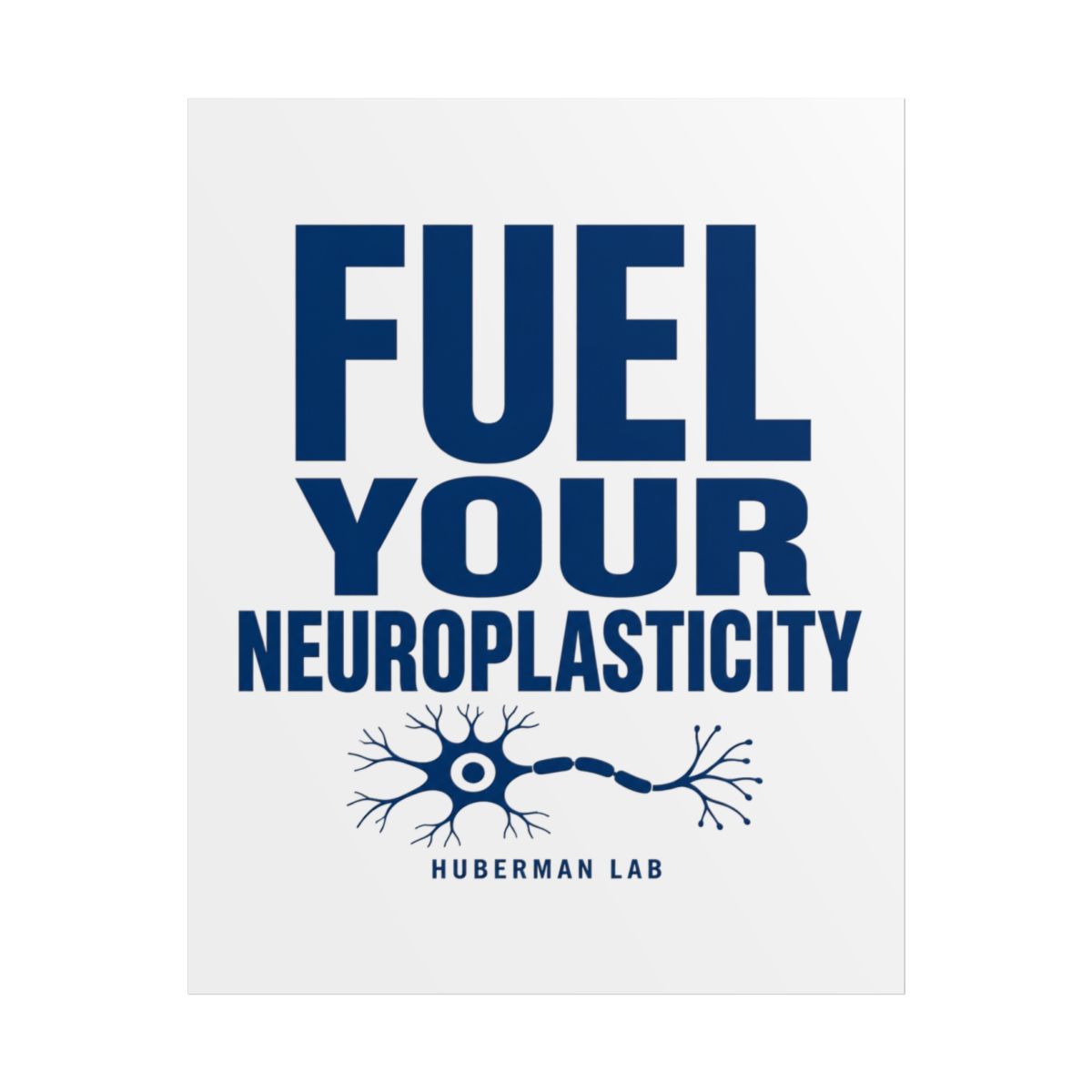Huberman "Fuel Your Neuroplasticity" Poster