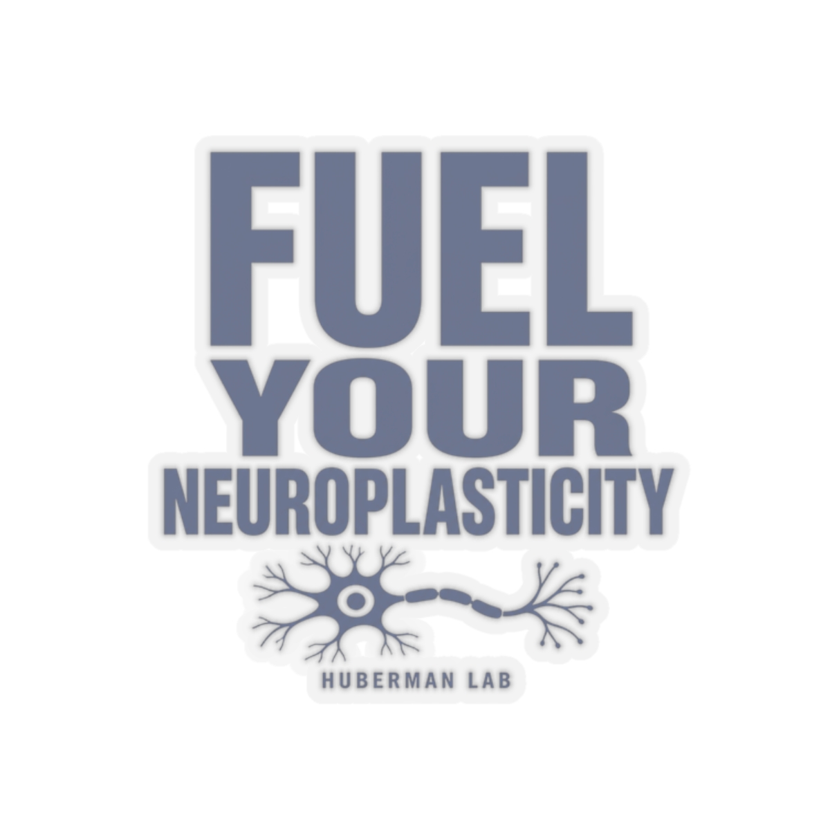 Huberman "Fuel Your Neuroplasticity" Sticker