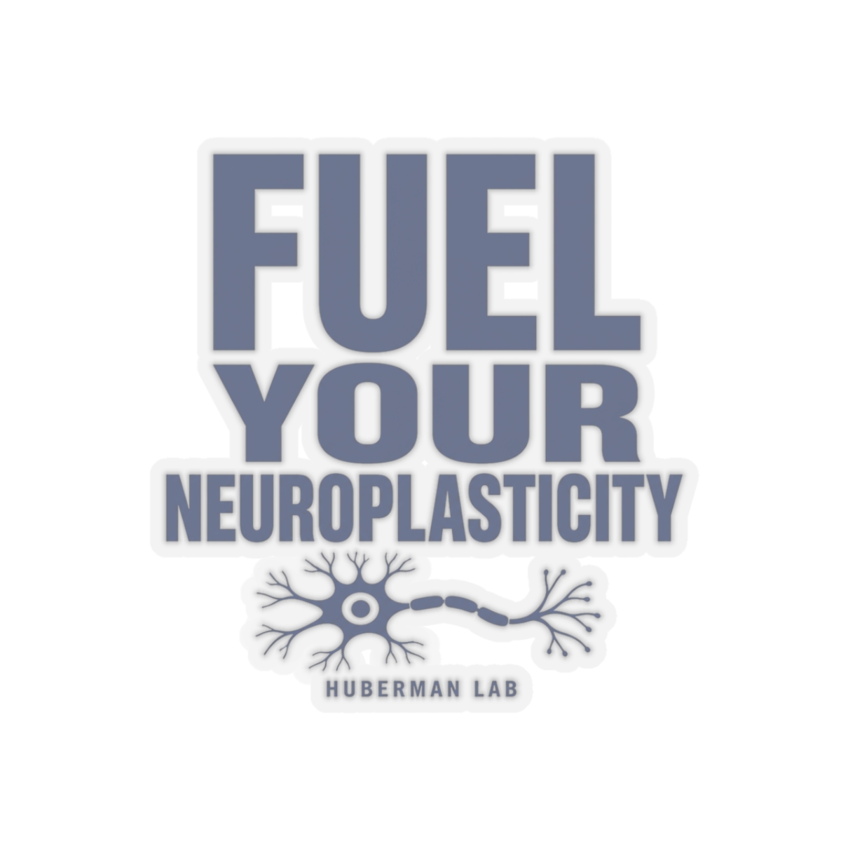 Huberman "Fuel Your Neuroplasticity" Sticker