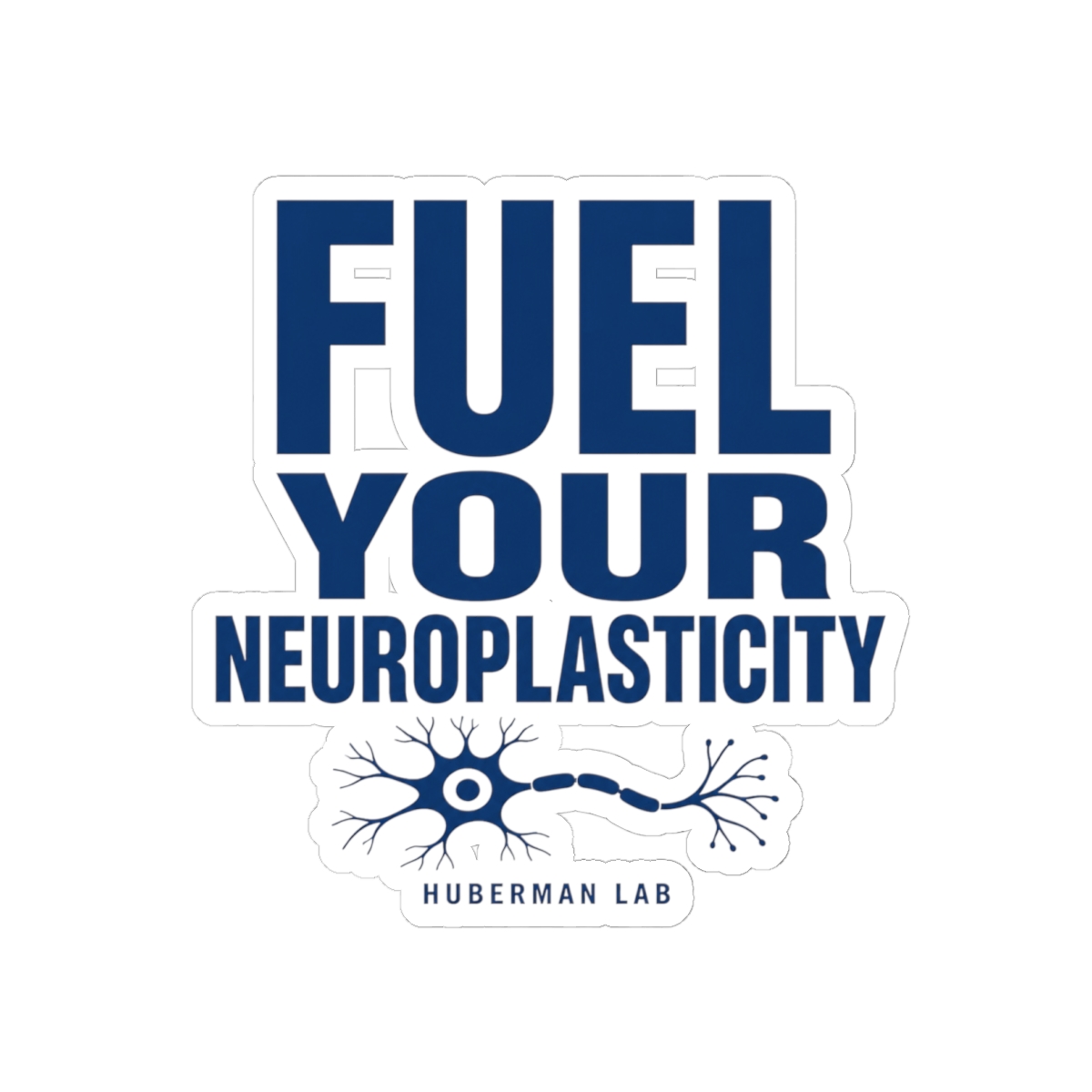 Huberman "Fuel Your Neuroplasticity" Sticker